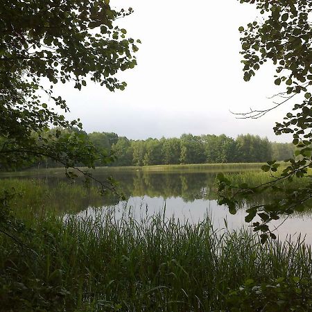 Lohsa Ferienhaus Knappensee מראה חיצוני תמונה